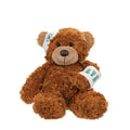 Bonnie Get Well Soon Teddy Bear Soft Toy