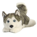 Husky Soft Toy